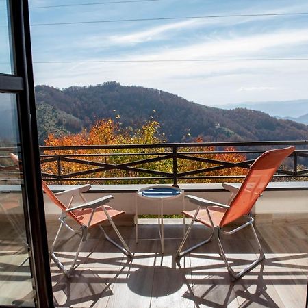 Apartman Andjela Kopaonik Extérieur photo