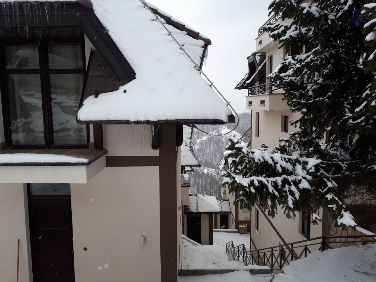 Apartman Andjela Kopaonik Extérieur photo