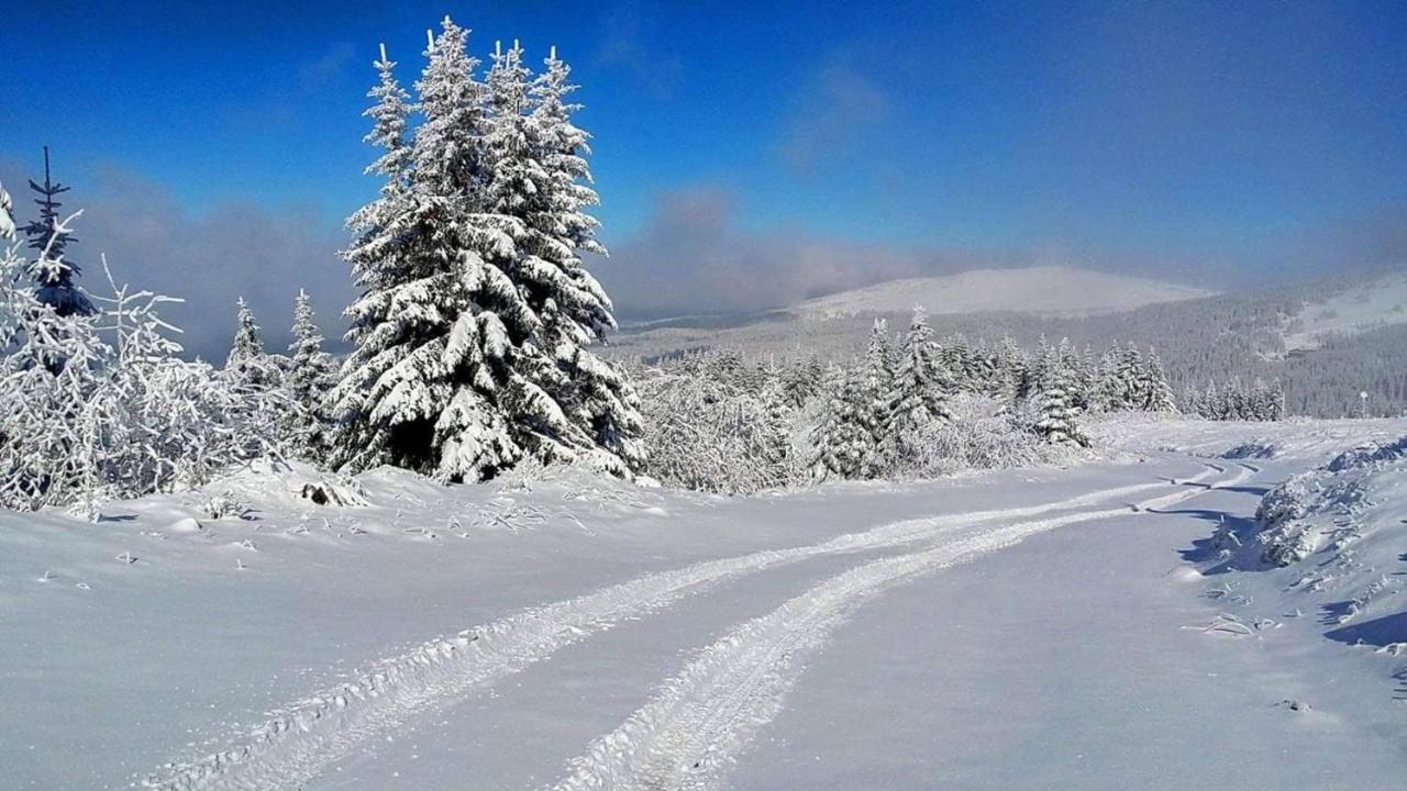 Apartman Andjela Kopaonik Extérieur photo